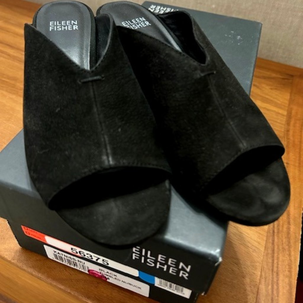 Eileen Fisher Sandal Size 6
